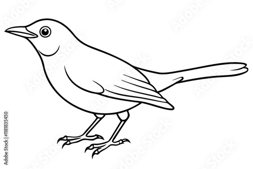 Common Blackbird Vector Outline Line Art Design, Minimalist Bird Illustration