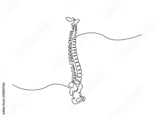Continuous one line drawing bones of human hand.  Wrist bones in single line art vector illustration. Editable stroke.