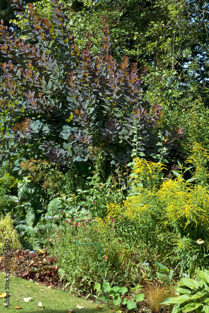 Les Jardins de Castillon, Plantbessin, Castillon, 14, Calvados, France Les Jardins de Castillon, Plantbessin, Castillon, 14, Calvados, France