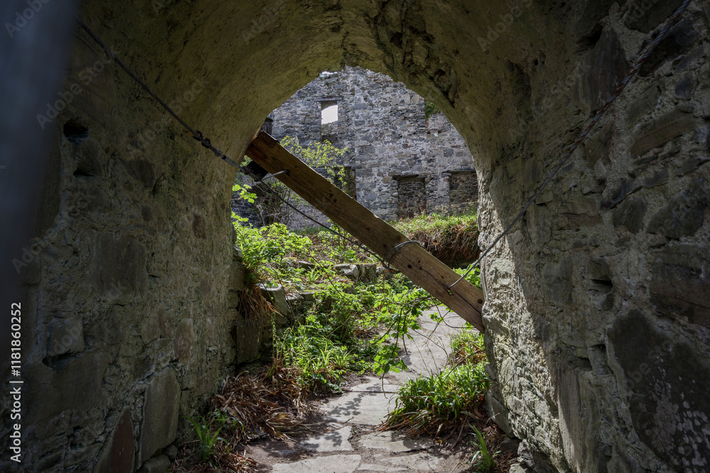 Obraz premium Exploring the ruins of Castle Tioram in the scenic Scottish Highlands through a stone archway overgrown with vegetation