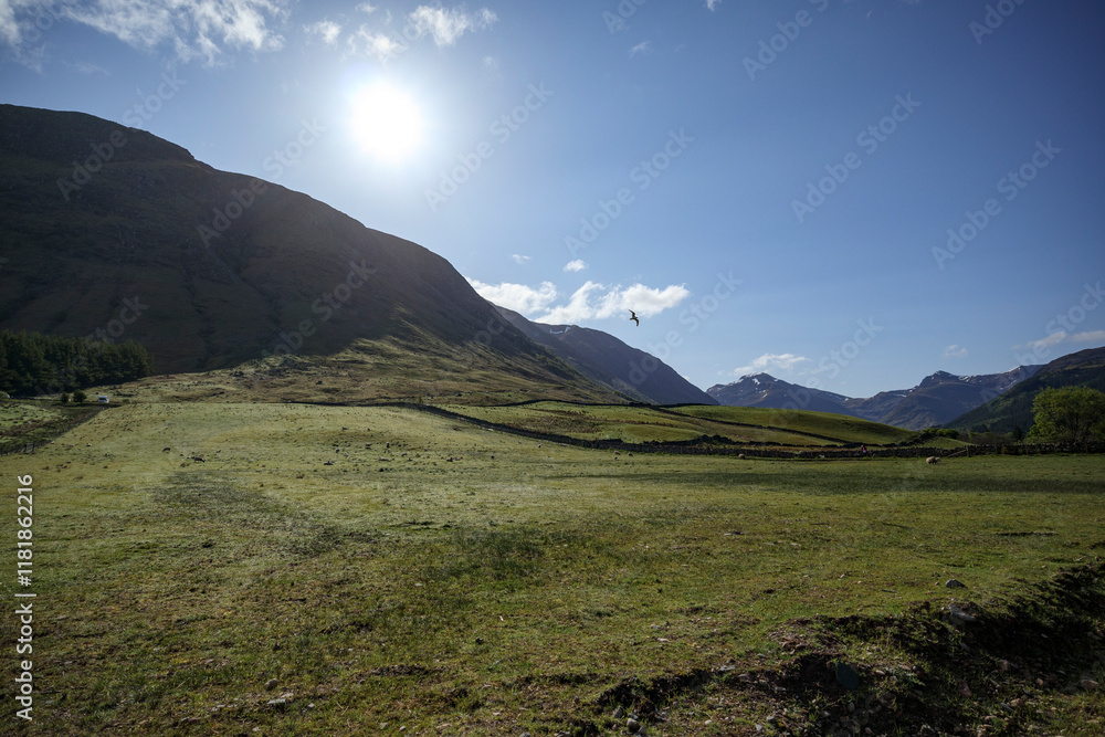 Expansive landscape of the Scottish Highlands under a bright blue sky with the sun shining down on grassy fields and distant mountains Expansive landscape of the Scottish Highlands under a bright blue sky with the sun shining down on grassy fields and distant mountains