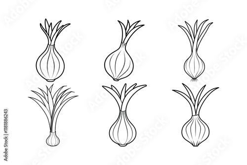 Leek (Allium ampeloprasum) design, labeled line art vector illustration
