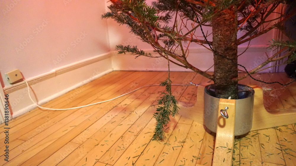 Fototapeta premium Christmas Tree Base with Fallen Pine Needles