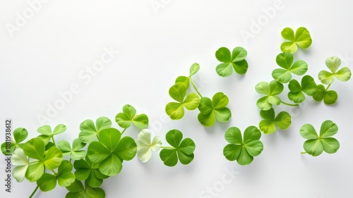Green and White Clover Minimalist AI Art