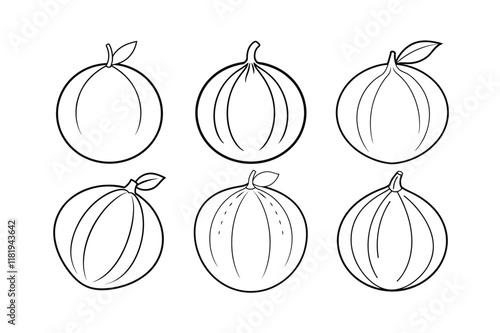 Nutmeg (Myristica fragrans) design, labeled line art vector illustration