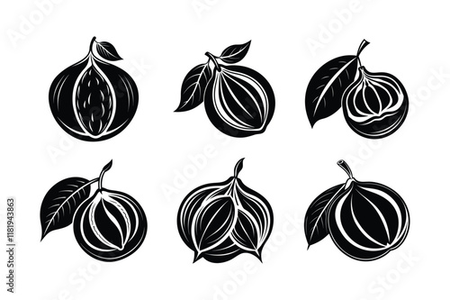 Nutmeg (Myristica fragrans) design, labeled silhouette vector illustration