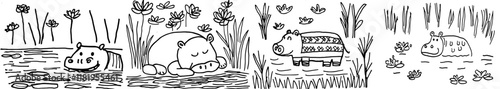Stylized hippopotamus (hippo)畅游于水仙（莲花）之中及水塘藻类之间。适合成人的减压涂色书页面，带有手绘画和禅意风格的元素。