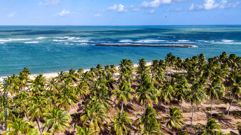 Paradise Found: Tropical Beach with Swaying Palm Trees Paradise Found: Tropical Beach with Swaying Palm Trees