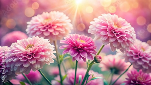Pink Flower Frame Bokeh Background: Soft Focus Floral Border