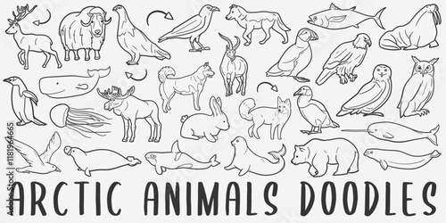 Arctic Animals Doodle Icons. Hand Made Line Art. Polar Clipart Logotype Symbol Design.