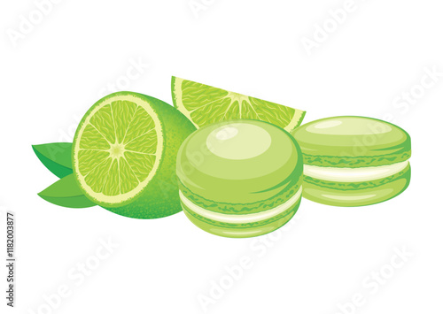 Key Lime Pie macarons icon set vector illustration. Green french macaroons icon vector isolated on a white background. Green macarons and fresh lime drawing