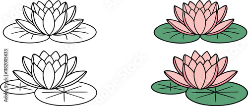 Water Lily Drawings Pink, White, Outline, Botanical Illustrations