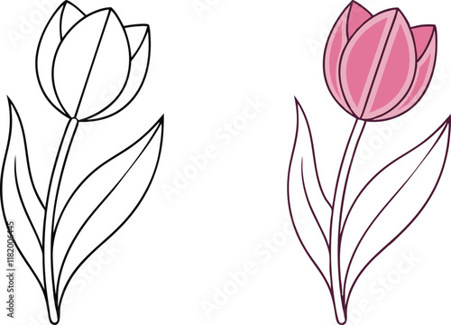 Simple Tulip Drawings Outline and Pink Colored Version