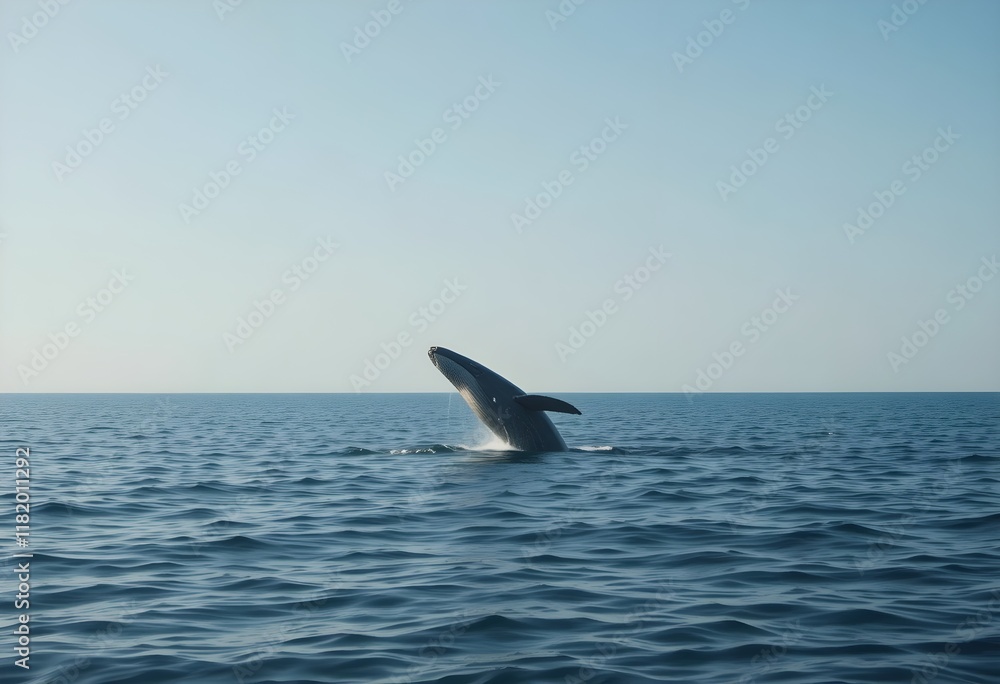 Naklejka premium Calm ocean with a whale jumping out of the water - 02