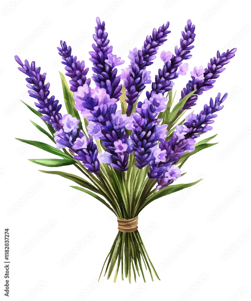 Naklejka premium bouquet of lavender