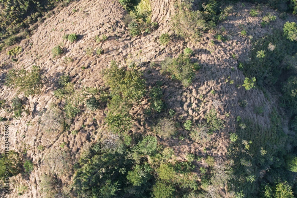 Imagem aérea obtida com sobrevoo de drone de uma área desmatada em recuperação florestal. Imagem aérea obtida com sobrevoo de drone de uma área desmatada em recuperação florestal.