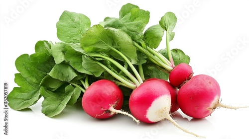 beautiful radish vegetable