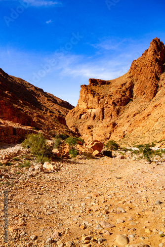 Rocky red slopes of Todra Gorge in the High Atlas Mountains. One of most beautiful places in Morocco. Tinerhir, Todra Gorge, Morocco, Africa photo