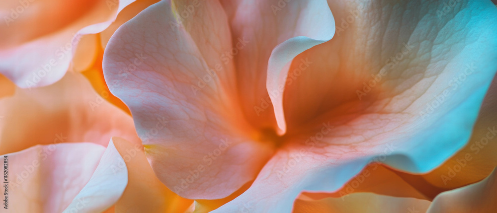 Obraz premium Colorful petals form abstract art with organic shapes and vibrant hues