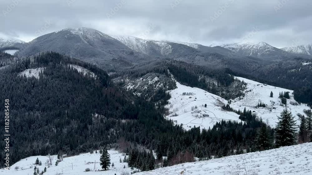 Landscape with Carpathian Mountains in winter, Ukraine Landscape with Carpathian Mountains in winter, Ukraine