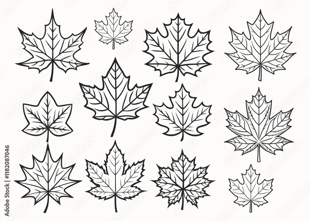 Set of maple leaves line art style vector illustration isolated on white background. Set of maple leaves line art style vector illustration isolated on white background.