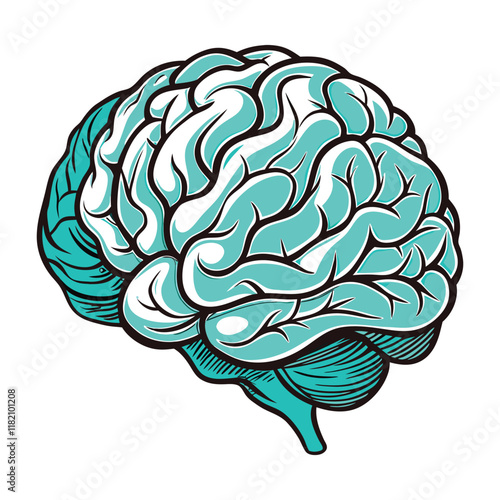 Human Brain Vector Illustration