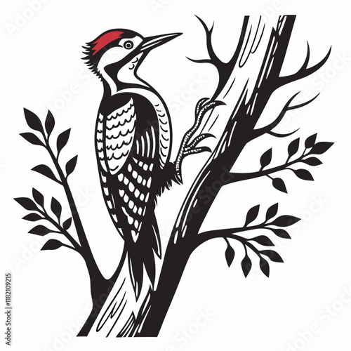 Woodpecker vector silhouette black design white background