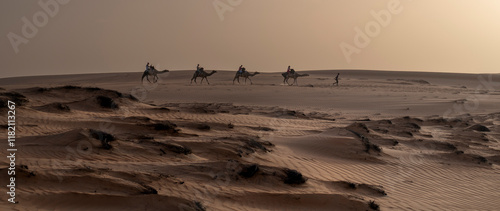 Paseo en camello por las dunas doradas en el Desierto de Lompoul, cerca de Saint Louis , SENEGAL al atardecer.