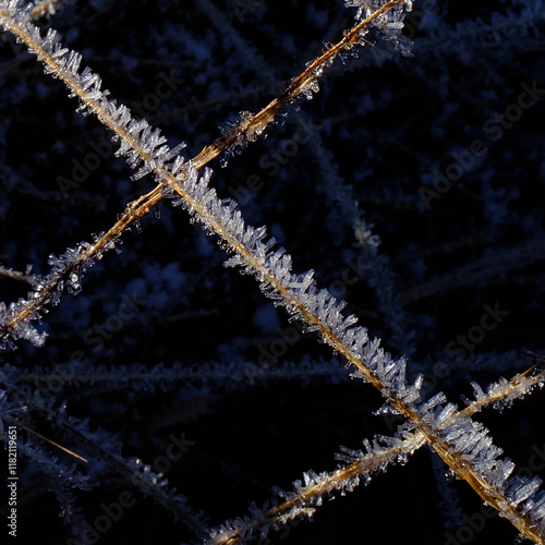 Fantastic ice crystals in the shape of needles and small tubes and cones on dry twigs in the forest.