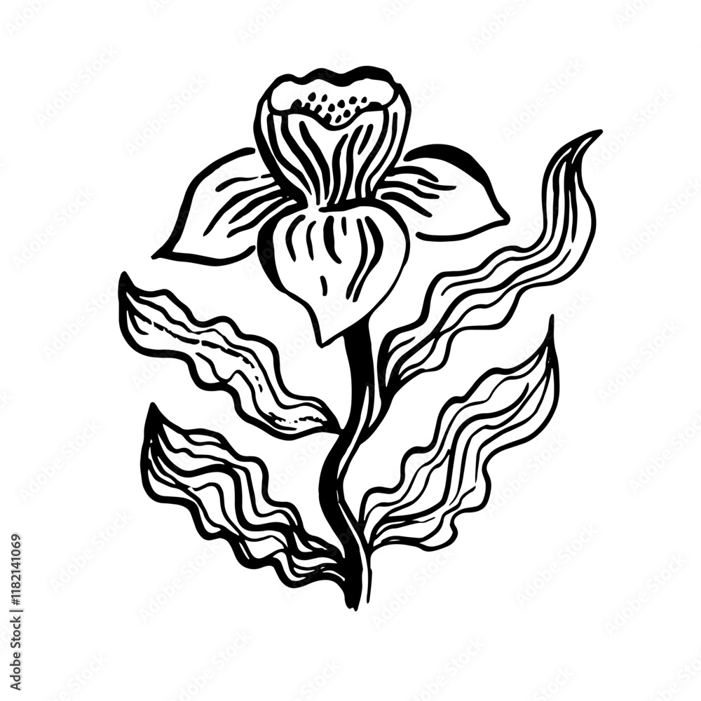 Vector hand drawn illustration made with rough texture of ink brush stroke, modern art print graphic design elements Vector hand drawn illustration made with rough texture of ink brush stroke, modern art print graphic design elements