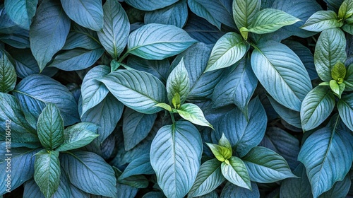 Wallpaper Mural Lush Green Leaves Textured Background with Various Shades of Blue and Green Tones Torontodigital.ca