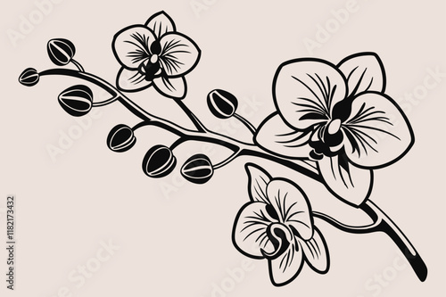 A  black and white silhouette of an orchid branch