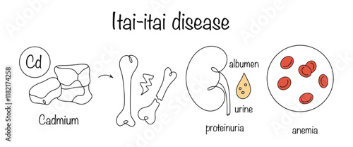Itai-itai disease