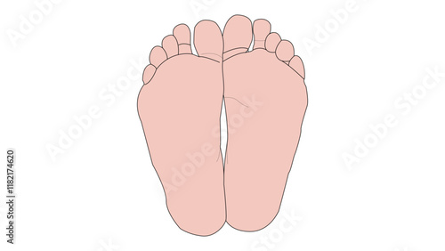 Female bare feet sole