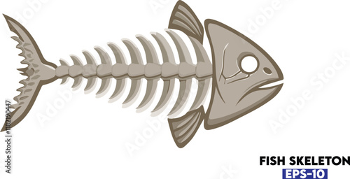 Fish skeleton , barracuda fish skeleton silhouette vector isolated on white background.