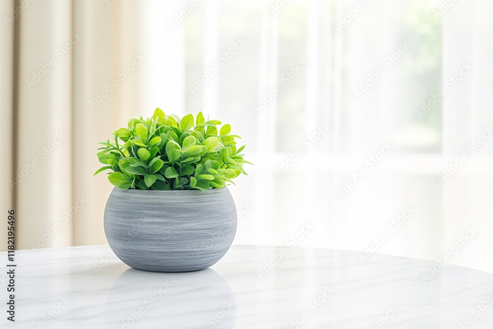 Lush Green Plant in Modern Grey Pot on a Marble Table with Soft Background Light Lush Green Plant in Modern Grey Pot on a Marble Table with Soft Background Light