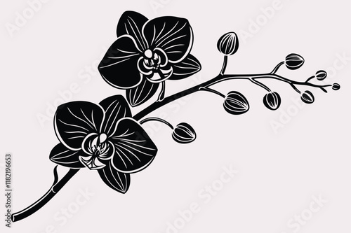 A  black and white silhouette of an orchid branch