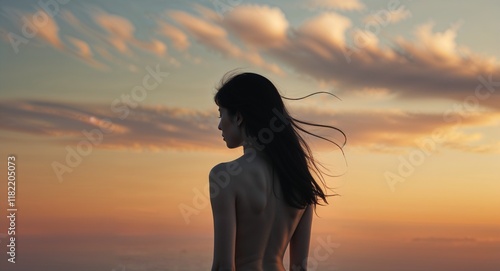 silhouette of a woman in the sunset