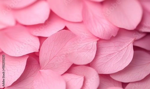 Obraz na płótnie Background of pink rose petals up close, showcasing intricate textures and soft hues for elegant and romantic vibes. w salonie