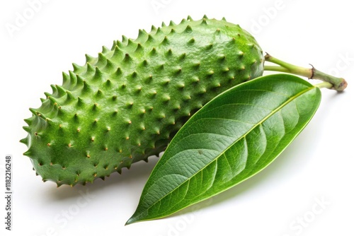 Close-up botanical photography showcases Asian soursop leaves, compositionally balanced, highlighting their medicinal properties against a pure white background. photo