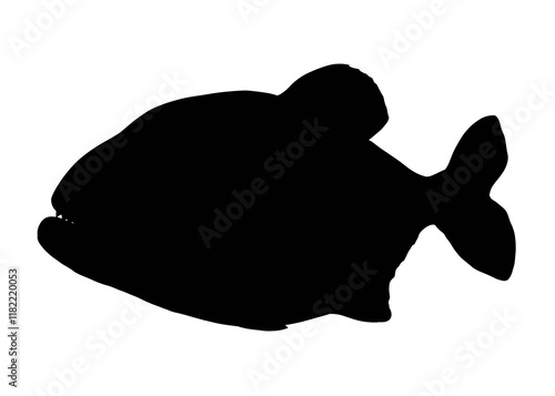 Silhouette image of piranha isolated on white background 