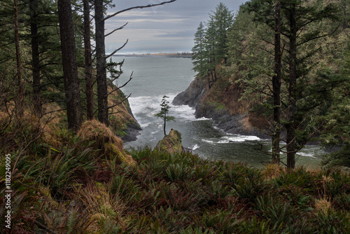 Lone Tree Sits In Inlet Along Northern Oregon Coast photo