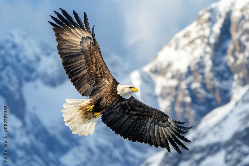 Obraz premium A majestic eagle soaring against a snowy mountain backdrop.