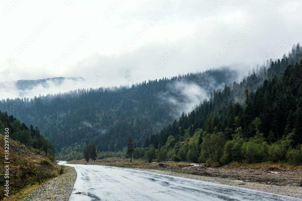 Foggy morning in the mountains, wet asphalt road Foggy morning in the mountains, wet asphalt road