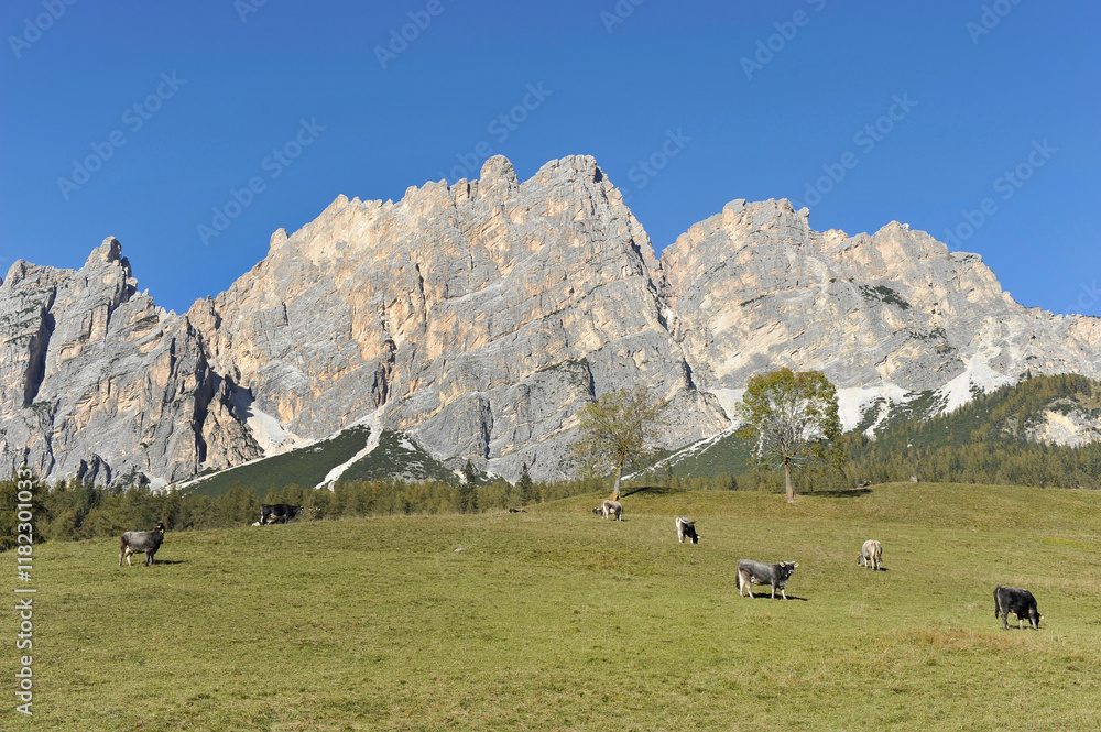 View of Mount Cristallo near Auronzo di Cadore, Cortina d'Ampezzo. Dolomites, Belluno, Italy View of Mount Cristallo near Auronzo di Cadore, Cortina d'Ampezzo. Dolomites, Belluno, Italy