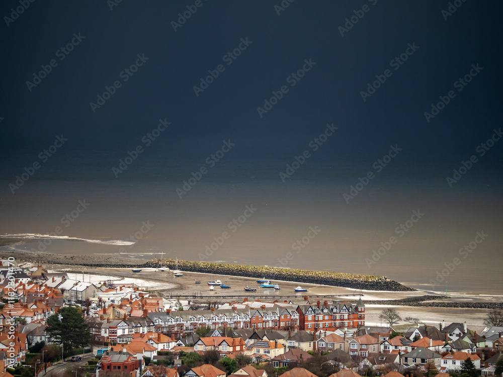 Fototapeta premium captive animals in a zoo