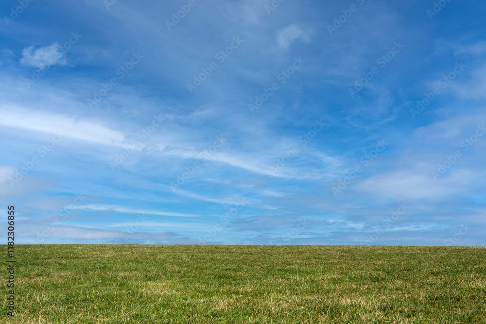 Clear Blue Sky with White Clouds Over a Mowed Meadow Clear Blue Sky with White Clouds Over a Mowed Meadow
