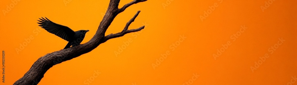 Silhouette of a Bird Taking Flight at Sunset Silhouette of a Bird Taking Flight at Sunset