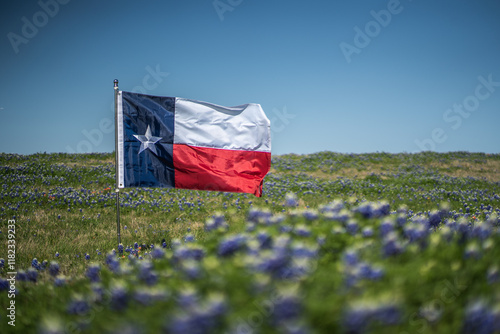 Texas Flag Blowing In The Wind In Blurred Rural Field of Bluebonnet Flowers With Blue Sky