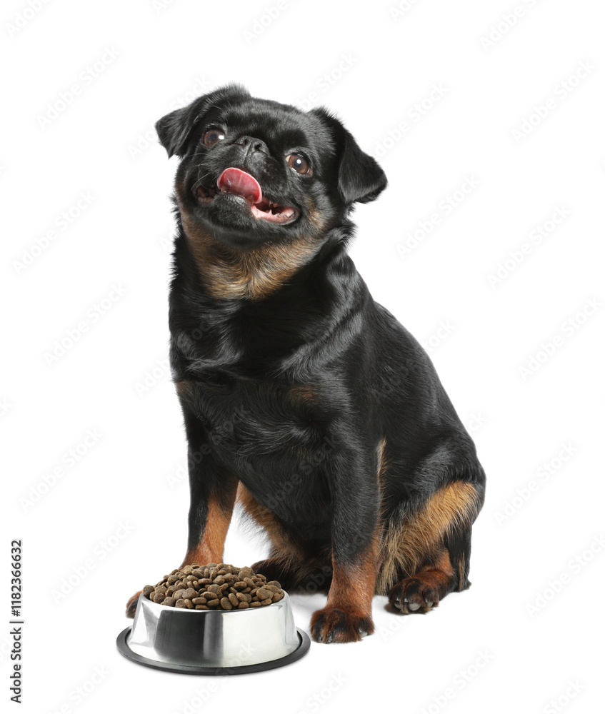 Obraz premium Cute dog sitting near bowl of dry pet food on white background